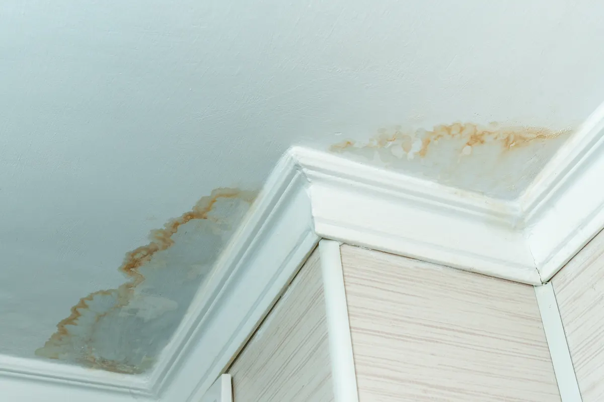 Ceiling water damage along crown molding from a roof leak after storm rain