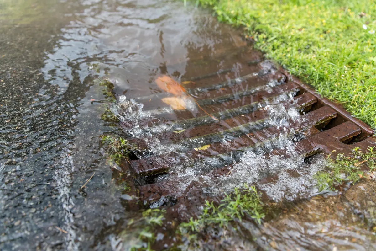 Storm drain overflowing during heavy rain, backing contaminated water toward homes