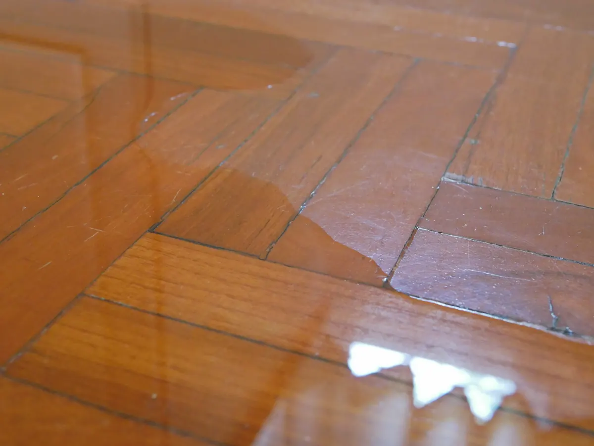 Standing water spreading across a Tucson home's wood floor after a plumbing leak