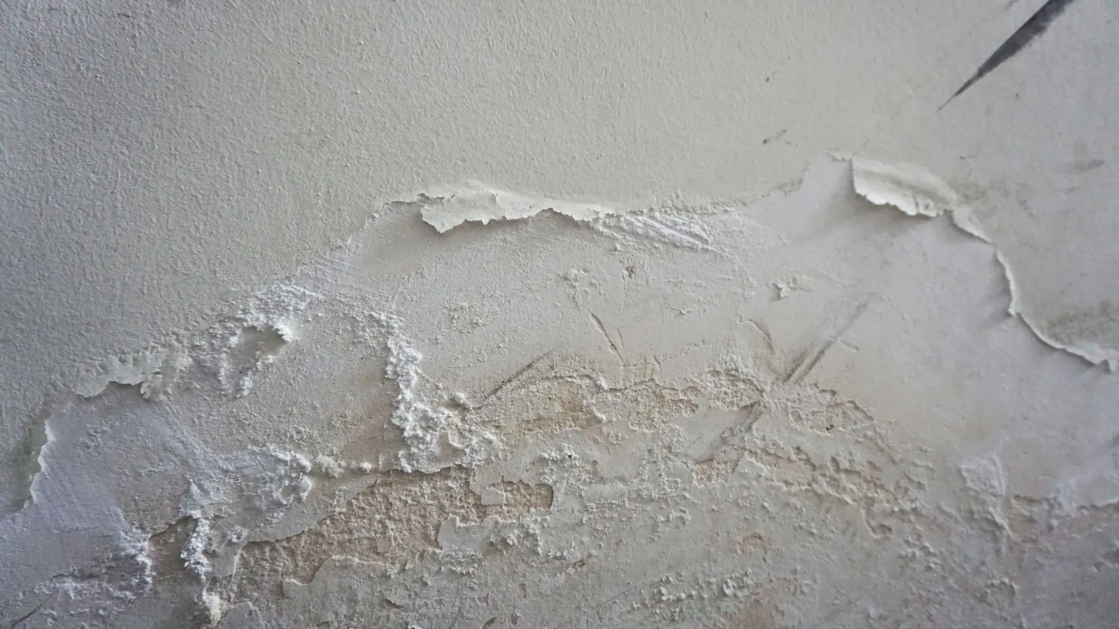 Paint swelling and peeling off water-soaked drywall — on El Mirage’s small lots, a single failed supply line can wet a shared wall between neighbors before either household notices