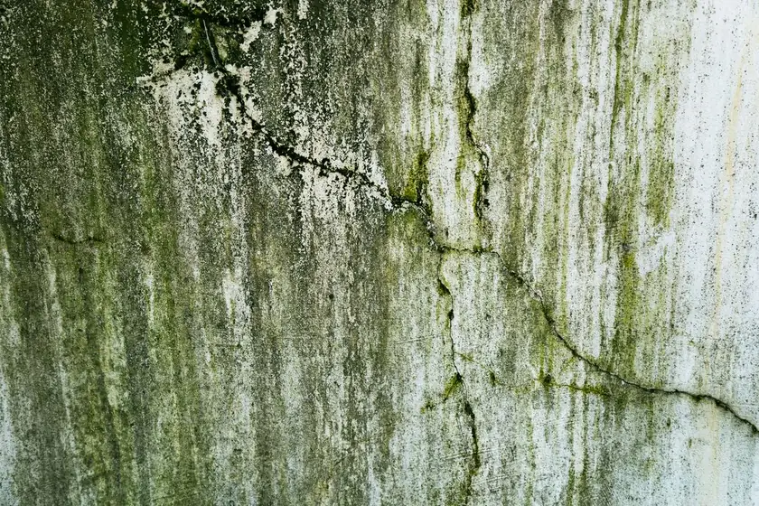 Mold growth spreading across a damp interior wall in a Tucson home after monsoon-season moisture went unnoticed