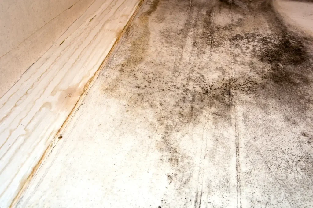 Toxic black mold spreading across a ceiling corner from water damage, the kind of growth mold remediation in Marana homes is called for