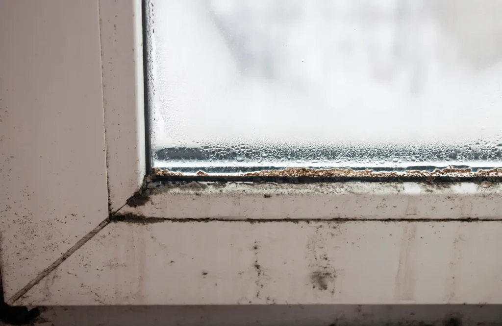 Black mold colonizing a window frame and seal, a common find during mold remediation inspections in Vail, AZ homes