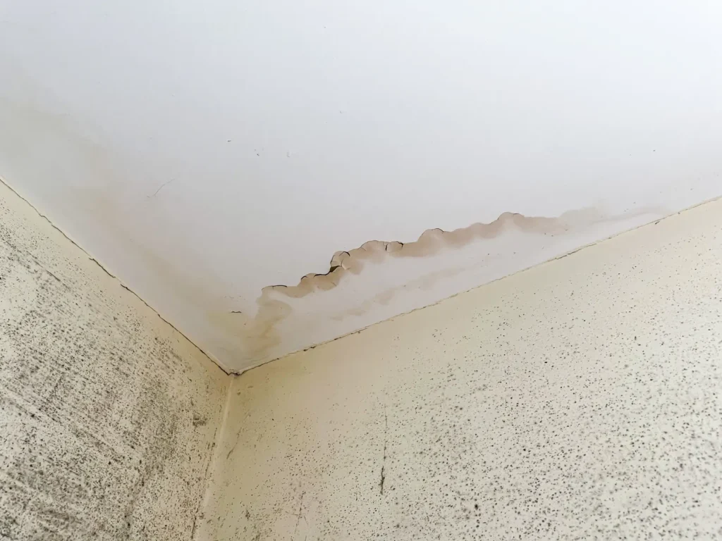 Water stains and early mold growth on a bathroom ceiling, the pattern Tucson homes show after monsoon humidity gets into the structure
