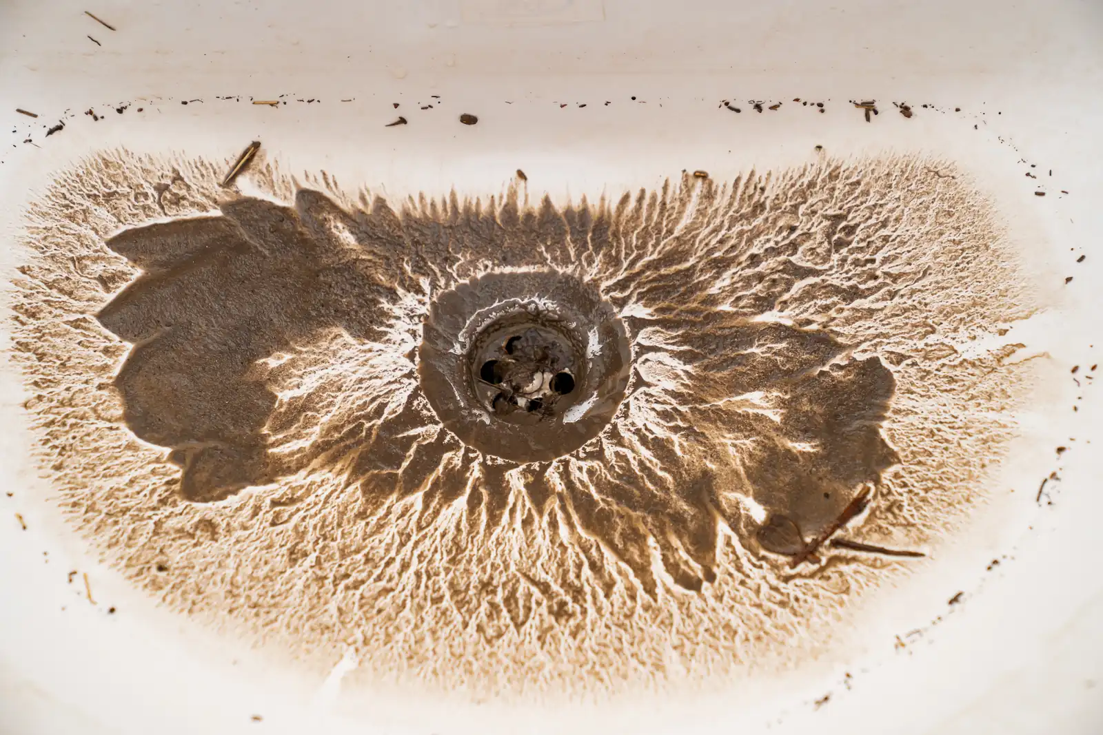 Contaminated water draining slowly after a sewer blockage in a Green Valley, AZ home