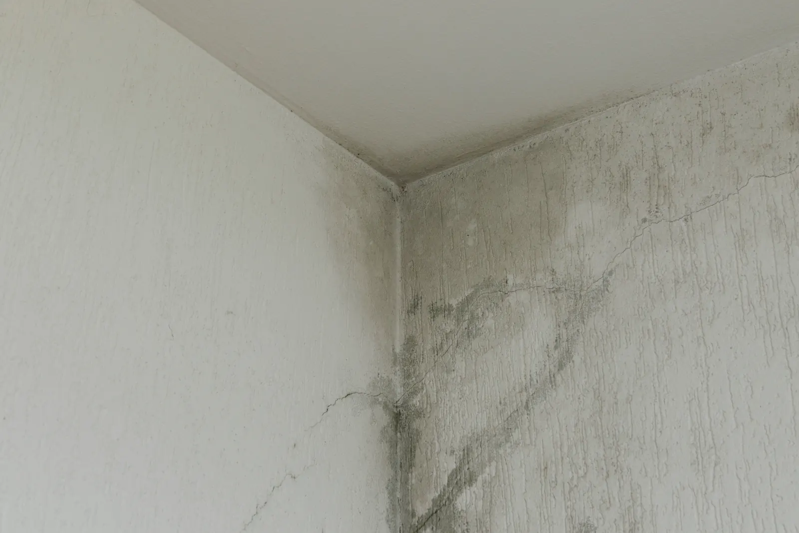 Ceiling water infiltration with early mold growth below a swamp cooler in a Catalina Foothills, AZ home