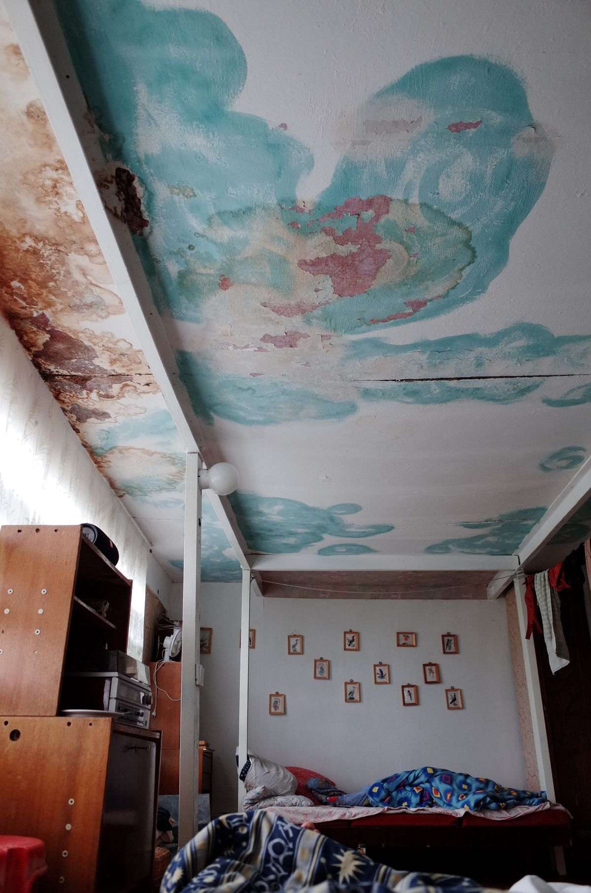 Water damage staining spreading across a home ceiling in Tucson